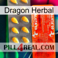 Dragon Herbal new01